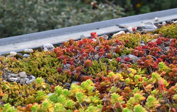 the cost of Lower Loxhore green roof installation
