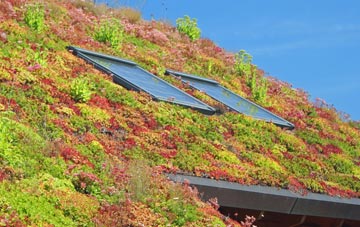 Lower Loxhore living roof systems